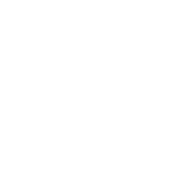 logo white